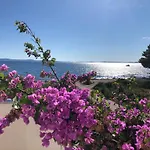 Mirakul Vir