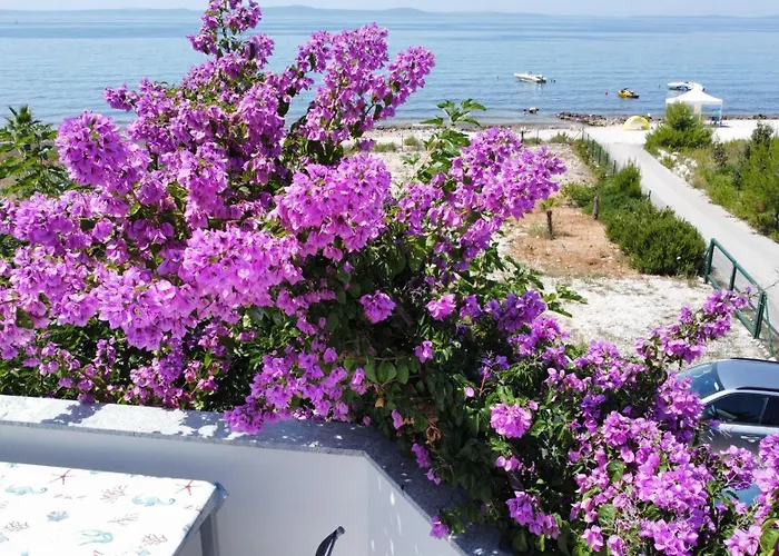 Mirakul Διαμέρισμα Vir