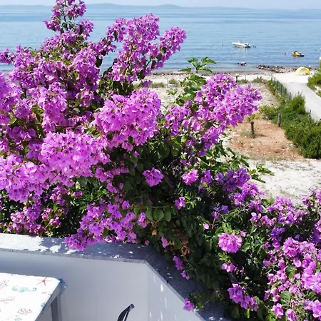 Mirakul Apartment Vir