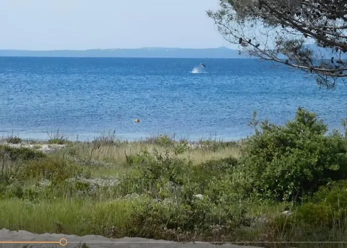 Apartamento Mirakul Vir